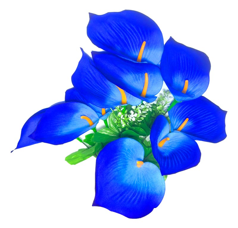 Flor (4320) - ramo de 10 anturios alto=44cm y corola=9cm