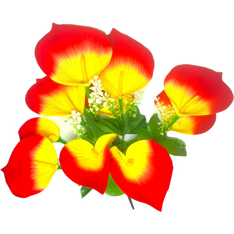 Flor (4320) - ramo de 10 anturios alto=44cm y corola=9cm