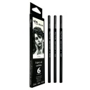 Lapiz de carbon (LIGERO-MEDIO-OSCURO)  La Selva cajita de 6pcs