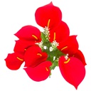 Flor (4320) - ramo de 10 anturios alto=44cm y corola=9cm