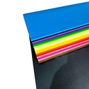 Bon resma de 20 colores intensos de 67x87cm de 200 hojas La Selva