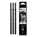 Lapiz de carbon (LIGERO-MEDIO-OSCURO)  La Selva cajita de 6pcs