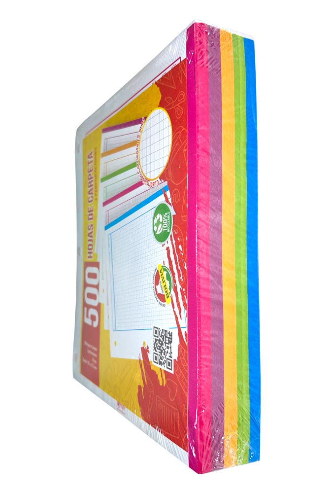 Hojas de carpeta Flipo 5 colores  500 hojas