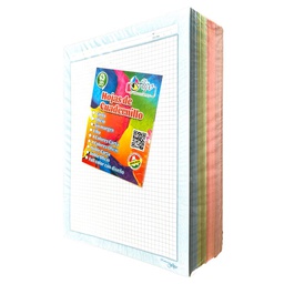[CDLL-CAR-COL-SUA] Hojas cuadernillo Carta Color (100 Paquetitos de 5 hojas)
