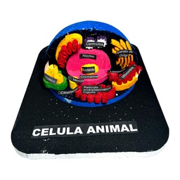 Maqueta de plastoformo 3D semi-esfericos NEPTUNO 19x24cm