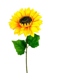 [0227-1A] Flor - Girasol individual tallo gruezo, largo 65 cm, corola 17 cm