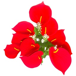 [4320] Flor (4320) - ramo de 10 anturios alto=44cm y corola=9cm