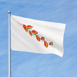 [BP150] Bandera con Patuju 1.5m